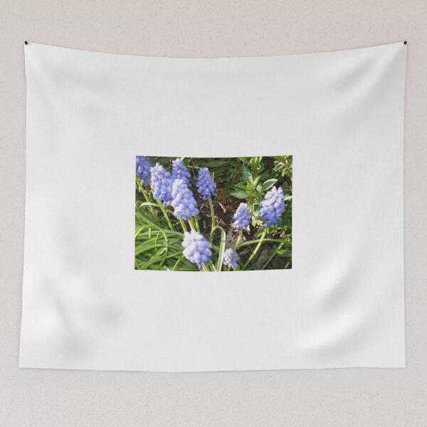 Item preview, Grape Hyacinth -make a good border designed and sold by EdsMum.