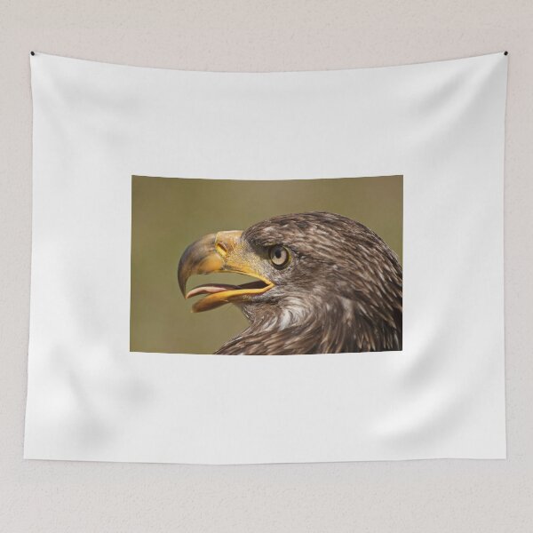 Item preview, Juvenile Bald Eagle designed and sold by Tracey Dryka.