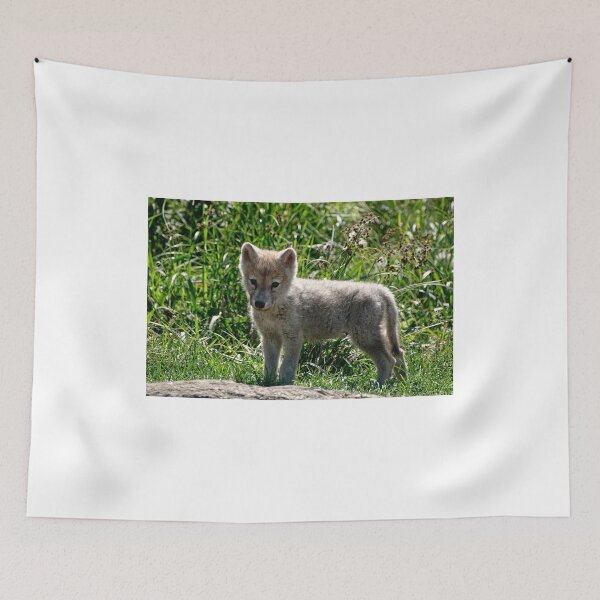 Item preview, Just too darn Cute! designed and sold by Tracey  Dryka.
