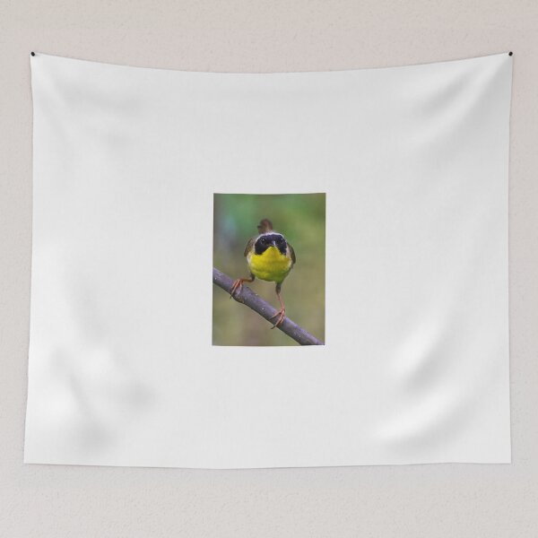 Item preview, Common Yellowthroat stare designed and sold by James Cumming.