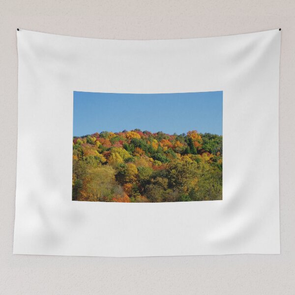 Item preview, Colorful October in Conkles Hollow Hocking Hills Ohio by VivaCandita designed and sold by vivacandita.