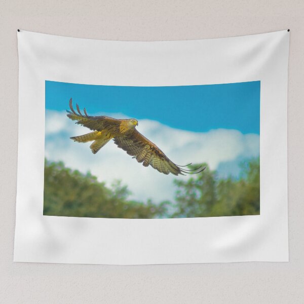 Item preview, Red Kite designed and sold by Anthony Hedger Photography.