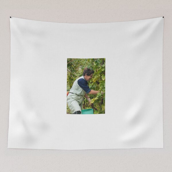 Item preview, Prosecco in the making! Valdobbiadene, Italy designed and sold by AndrewJonesFoto.