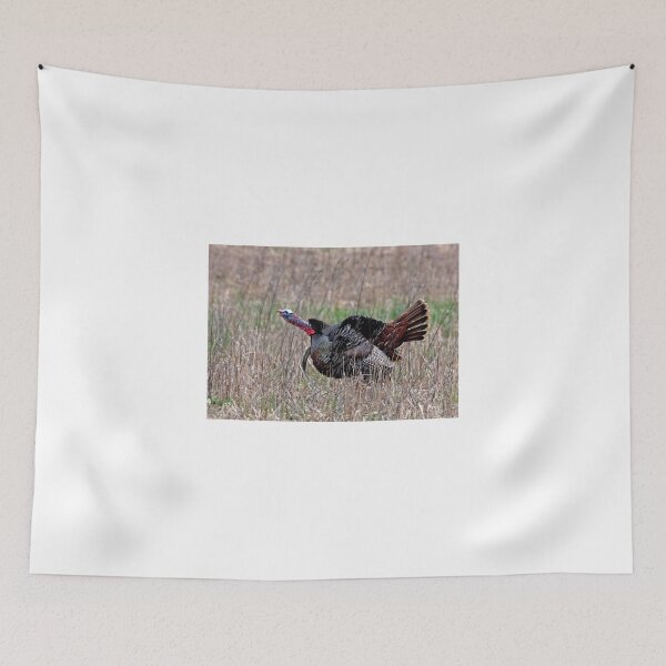 Item preview, Wild Turkey designed and sold by James Cumming.