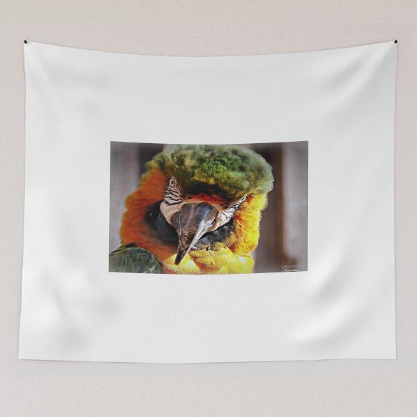 Item preview, Watch The Birdie.... designed and sold by naturelover.