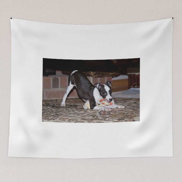 Item preview, You Can't Have It!!! designed and sold by eegibson.