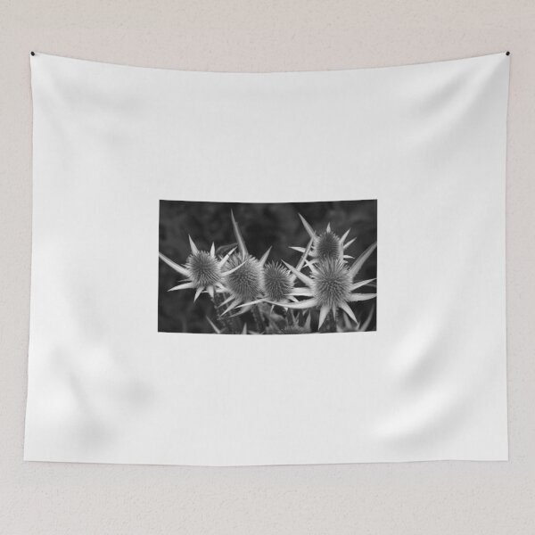 Item preview, REDREAMING THE STAR COLONY designed and sold by REDREAMER.