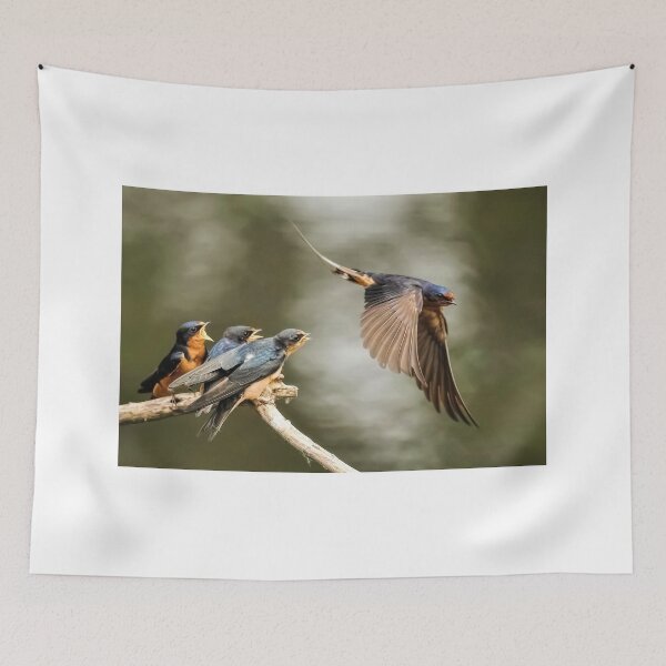 Item preview, Anticipation designed and sold by Kenneth Haley.