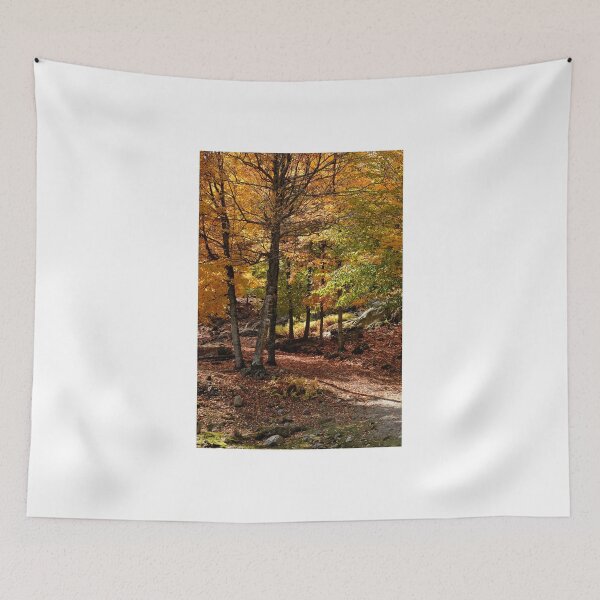 Item preview, Trout Lake, Parc Omega, Montebello, PQ designed and sold by Tracey  Dryka.