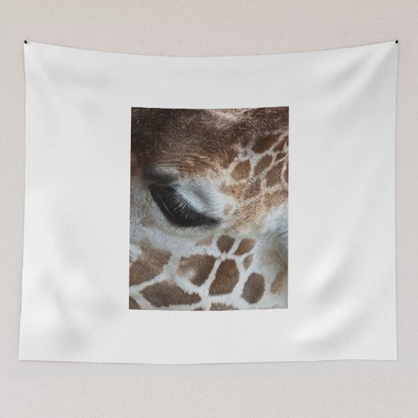Item preview, Close-Up designed and sold by eegibson.