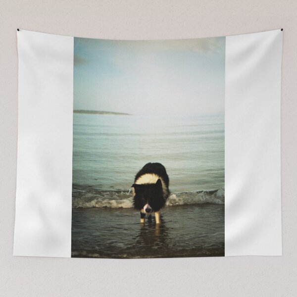 Item preview, Indy in the sea designed and sold by Michael Haslam.