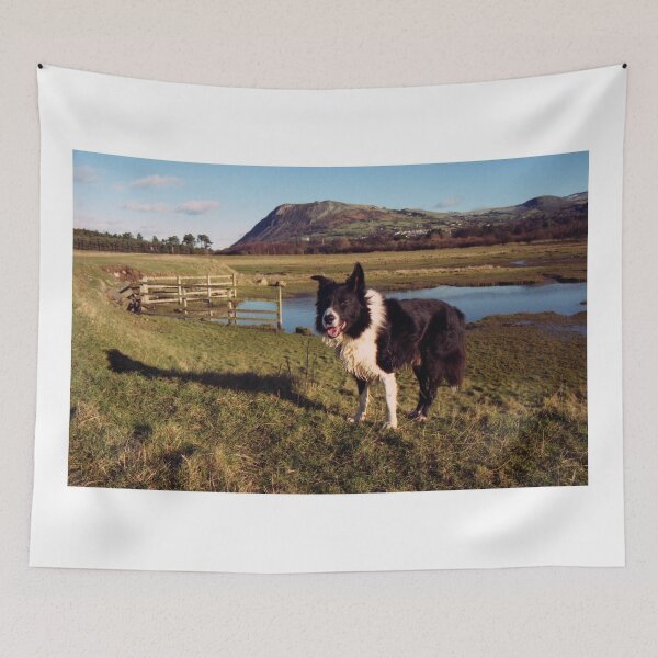 Item preview, Indy on the Cob designed and sold by Michael Haslam.