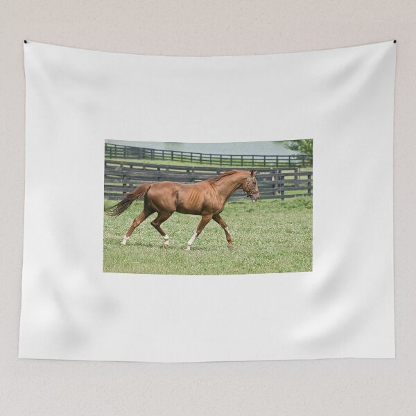 Item preview, One fine Man!!! (view large) designed and sold by Tracey  Dryka.