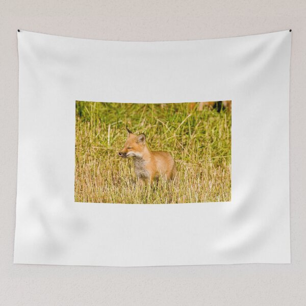 Item preview, Yummy!!  Red fox kit - Ottawa, Ontario designed and sold by Tracey  Dryka.