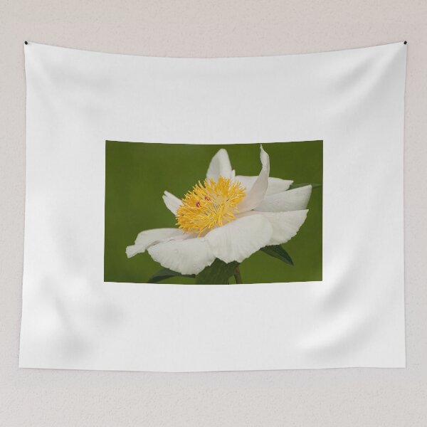 Item preview, Rushlight - Peaonia (Peony) designed and sold by Tracey  Dryka.