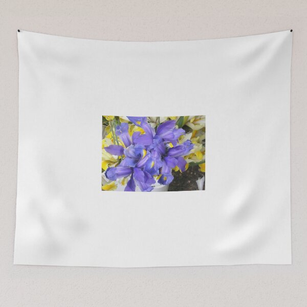 Item preview, Iris designed and sold by AuntieBarbie.