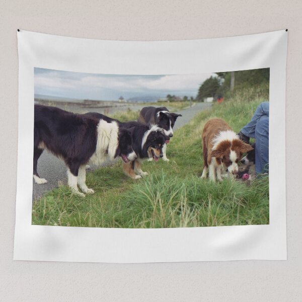 Item preview, The World is full of Collies designed and sold by Michael Haslam.