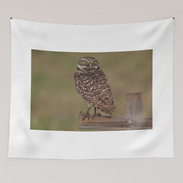 Item preview, Burrowing Owl  designed and sold by kathy s gillentine.