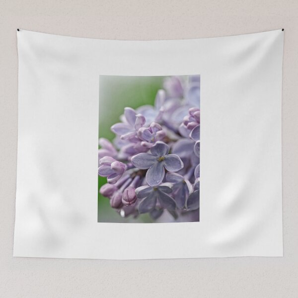 Item preview, Lilacs - Ottawa, ON designed and sold by Tracey  Dryka.