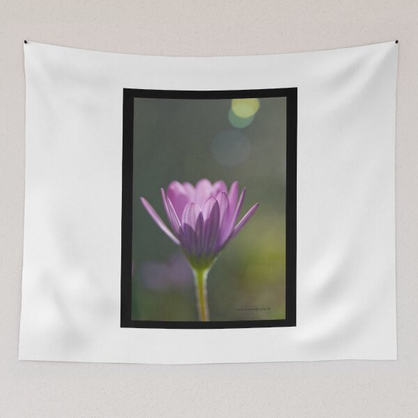 Item preview, Morning Glory © Vicki Ferrari Photography designed and sold by Vicki Ferrari Photography.