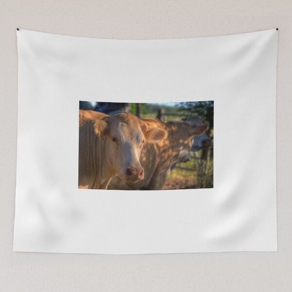 Item preview, Inquisitive Cow designed and sold by Diego Re.