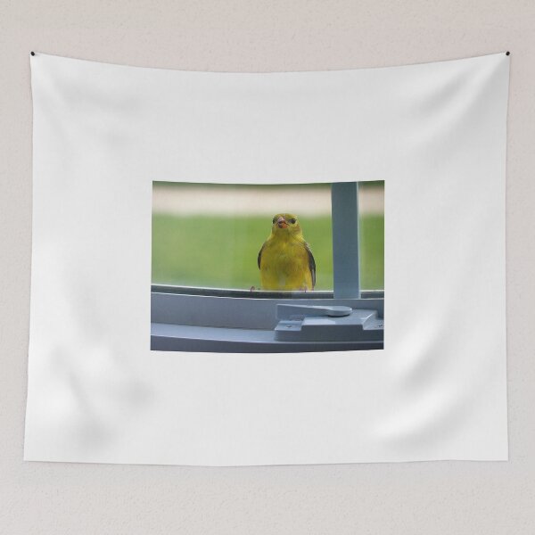 Item preview, Little Bird on the Window Sill designed and sold by Brian Gaynor.
