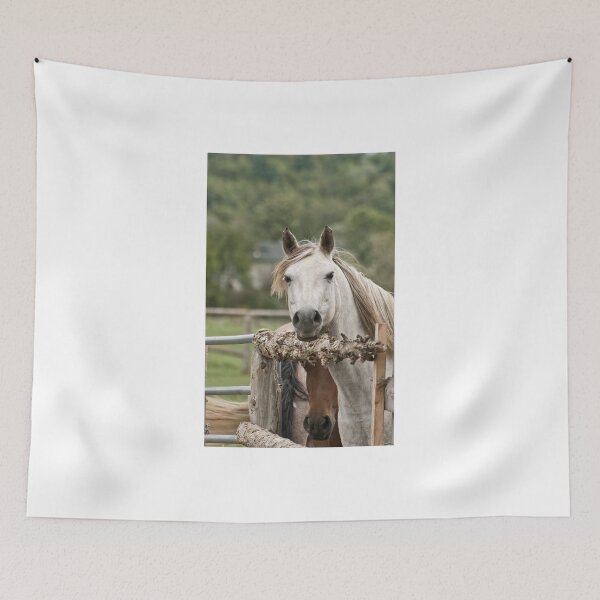 Item preview, Over here - Silver Creek Ranch, Ottawa, Ont designed and sold by Tracey  Dryka.