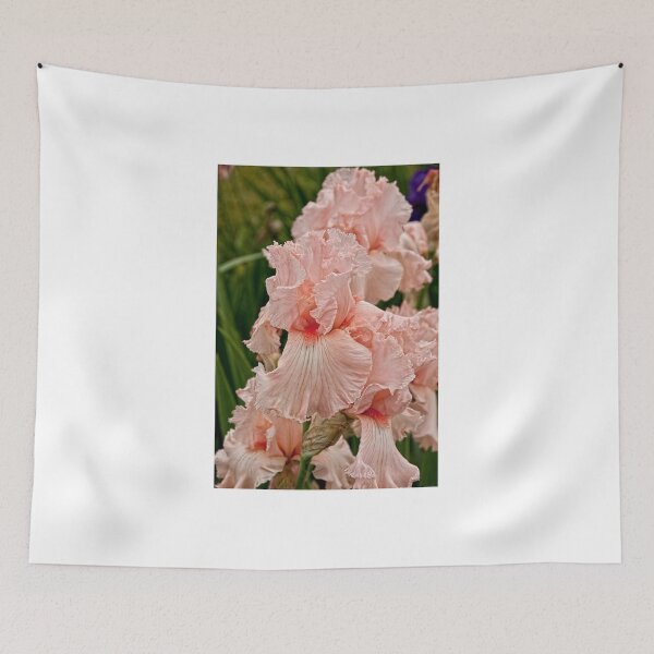 Item preview, Tall bearded Iris designed and sold by Tracey  Dryka.