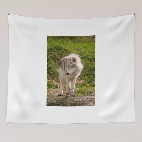 Item preview, Look at Me Mom!! designed and sold by Tracey  Dryka.