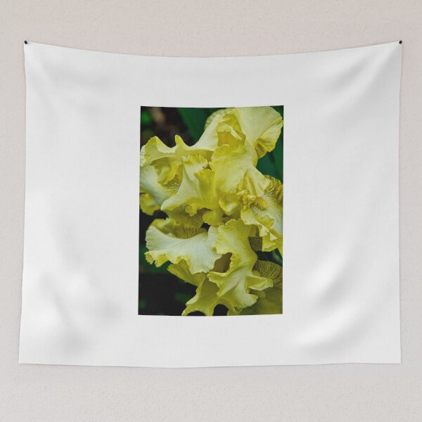 Item preview, Gold Dazzle -  my garden, Ottawa designed and sold by Tracey  Dryka.