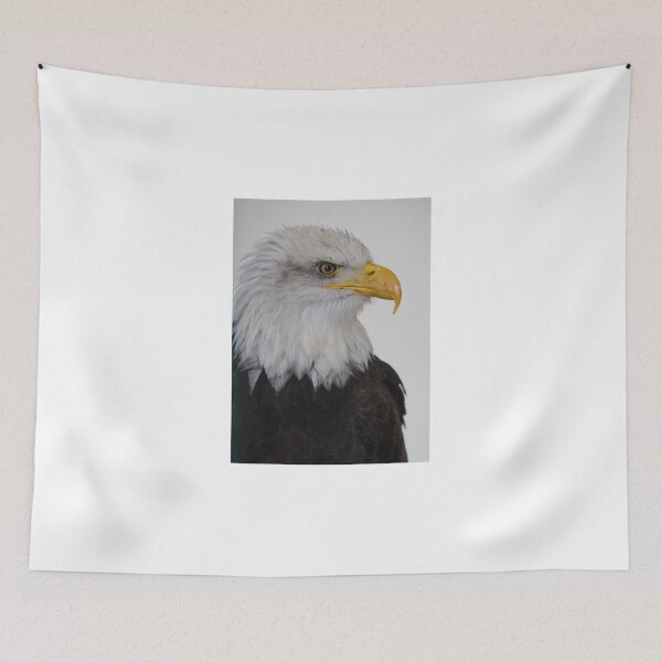 Artikelvorschau, Bald Eagle entworfen und verkauft von Mark Poulton.