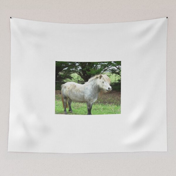 Item preview, Shetland standing tall - Kirkstall designed and sold by EdsMum.