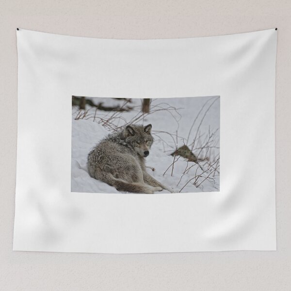 Item preview, Timberwolf - Parc Omega, Montebello designed and sold by Tracey  Dryka.