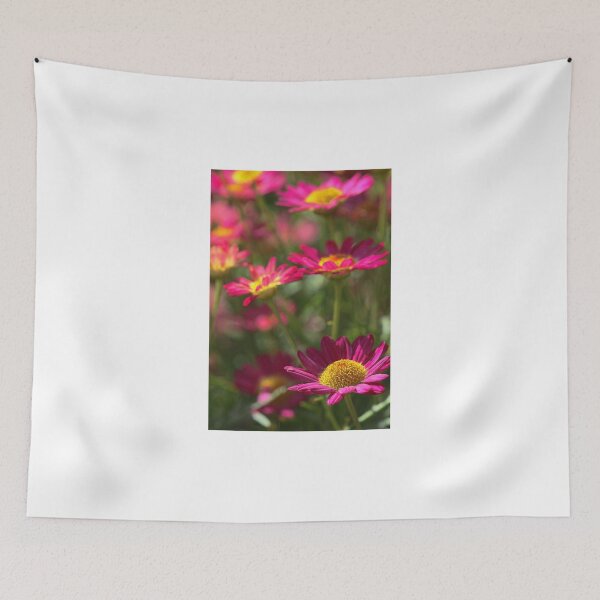 Item preview, Marguerite Daisy - Madeira Red designed and sold by T.J. Martin.