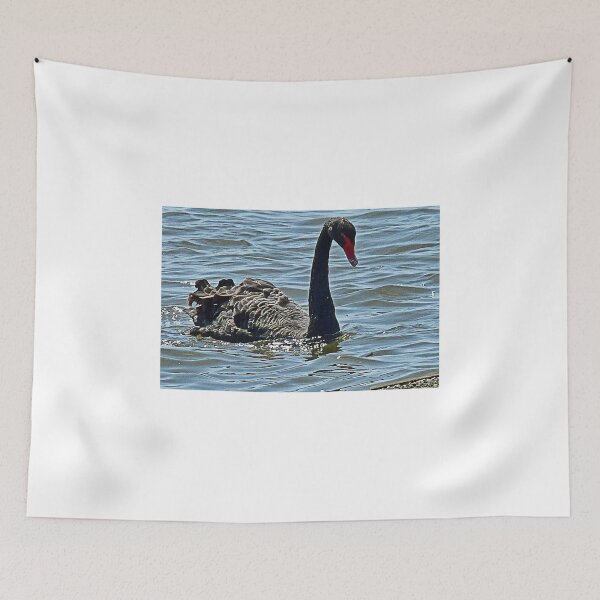 Item preview, Black Swan at Abbotsbury  Swannery designed and sold by lynn carter.