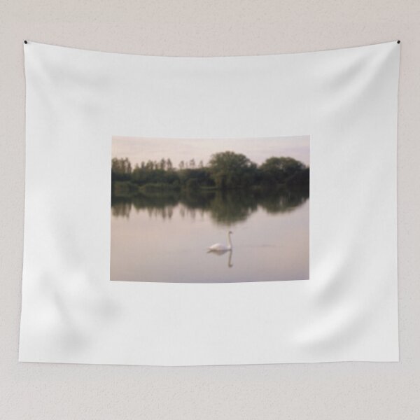 Item preview, Swan on lakes in Somerset designed and sold by anaisnais.