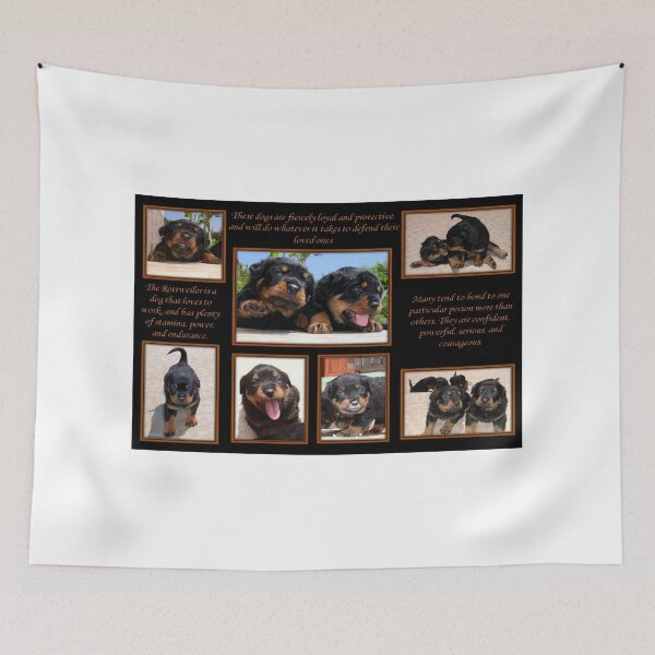 Item preview, Rottweiler Memories designed and sold by taiche.