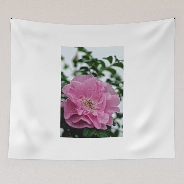 Item preview, Jens Munk - Explorer Rose designed and sold by Tracey Dryka.