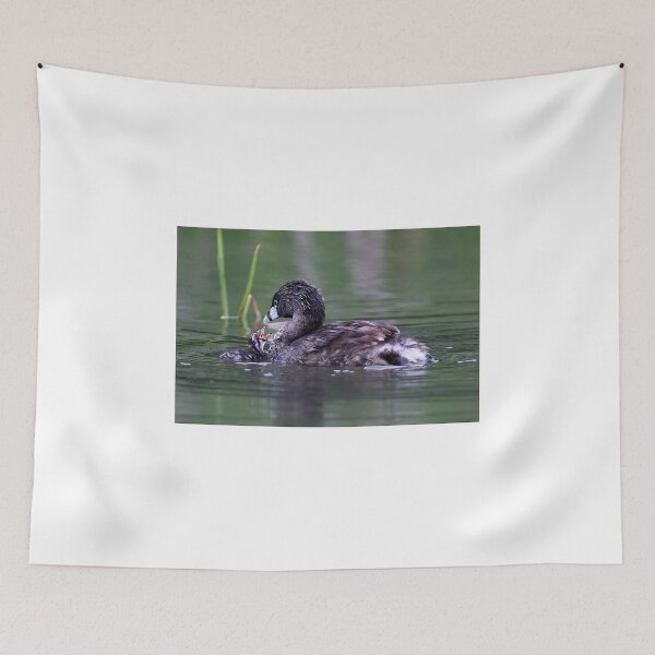 Item preview, Please Sir, I want some more - Pied-billed Grebes designed and sold by James Cumming.