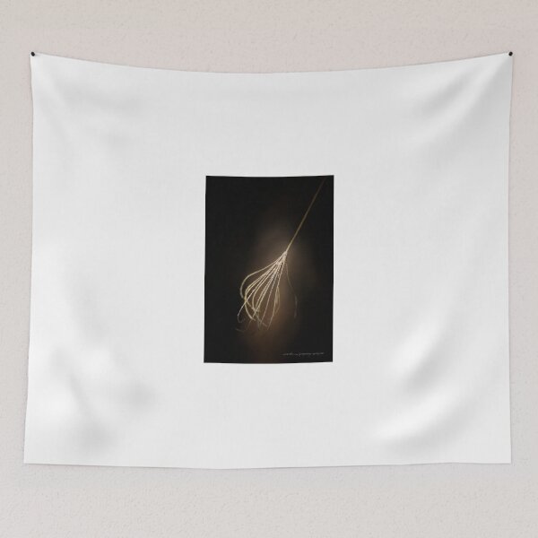 Item preview, Whisk It © Vicki Ferrari Photography designed and sold by Vicki Ferrari Photography.