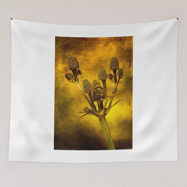Item preview, Eryngium Gold designed and sold by Creative by Design.