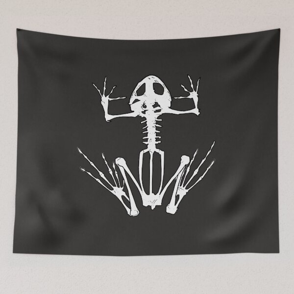 Item preview, Frog Skeleton designed and sold by klarapie.