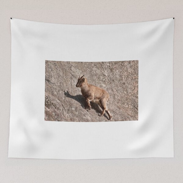 Item preview, Walking a fine line  designed and sold by Tracey  Dryka.