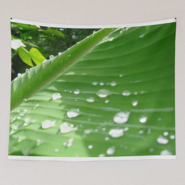 Item preview, Drops and Leaves designed and sold by Mellisa Wagner.