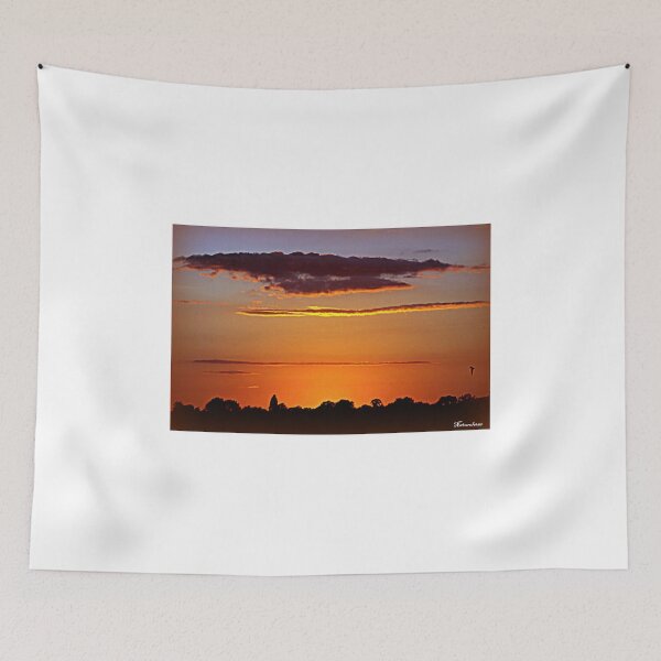 Item preview, Night Flight designed and sold by naturelover.