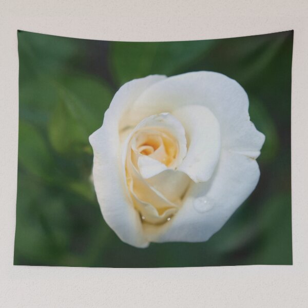 Item preview, A rose like a white lily designed and sold by B. Randi Bailey.