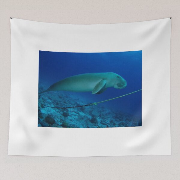 Artikelvorschau, Dugong, Cocos-Insel, der Indische Ozean, Australien entworfen und verkauft von Sean Elliott.