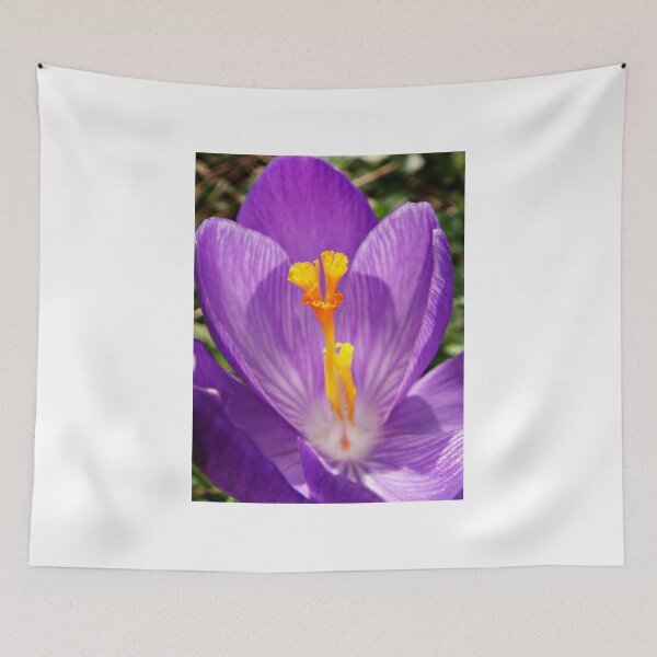 Item preview,  Welcome Spring designed and sold by Eugenio.