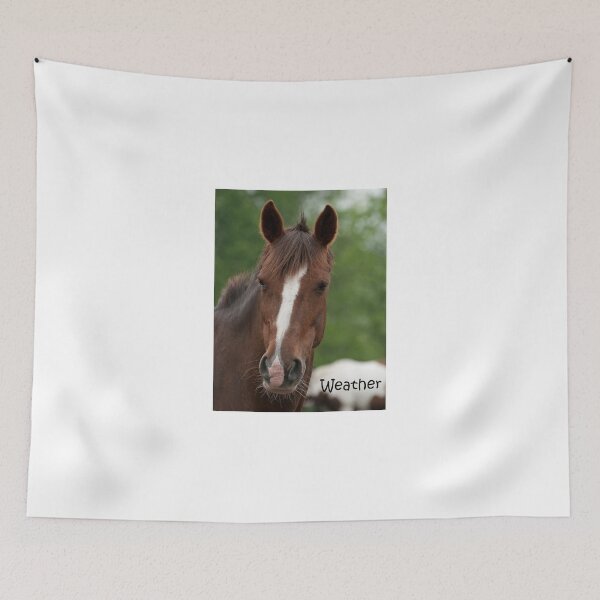 Item preview, Weather (tee) - NNEP Ottawa, ON designed and sold by Tracey  Dryka.
