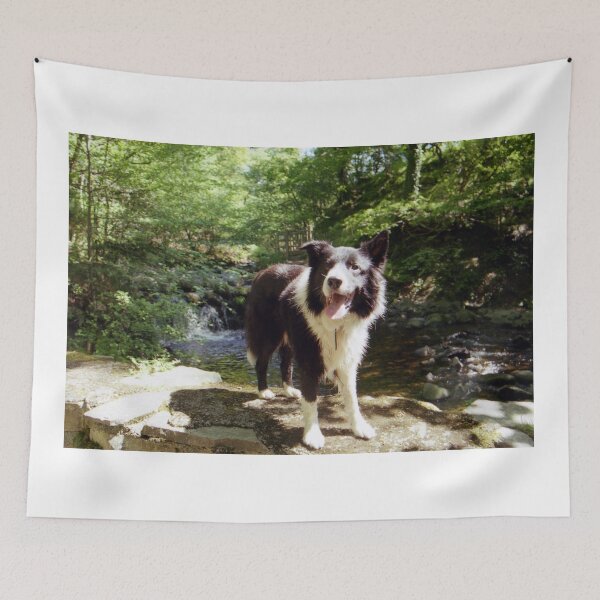 Item preview, "If your dog thinks..." designed and sold by Michael Haslam.